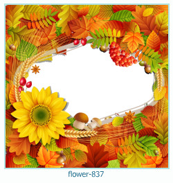 flower Photo frame 837